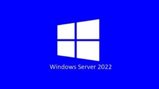 Microsoft Server Standard 2022 ( 24 Core ) OEM Physical Pack - P73-08346 Indludes 2 x VM