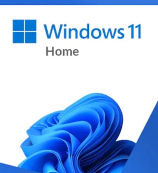 Microsoft Windows 11 Home Retail 64-bit USB Flash Drive English International 1 License (HAJ-00090)