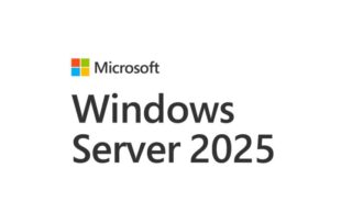 Microsoft Windows Server 2025 CAL English 1pk DSP OEI 1 Clt User CAL No Refund