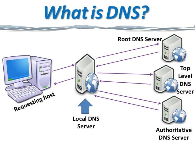DNS setup for guest WiFi Australia